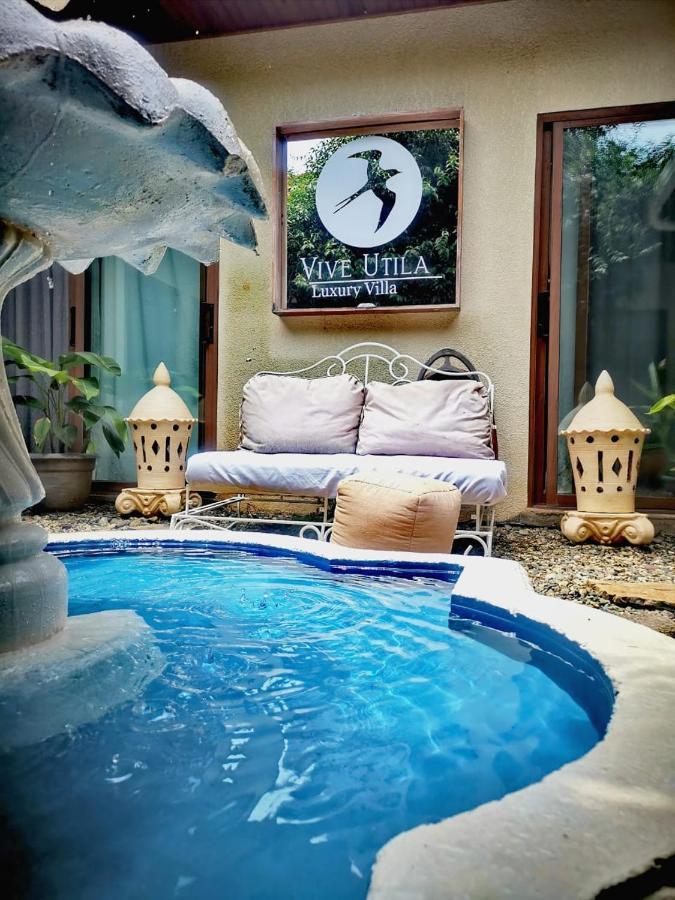 Vive Utila - Bed & Breakfast Eksteriør bilde