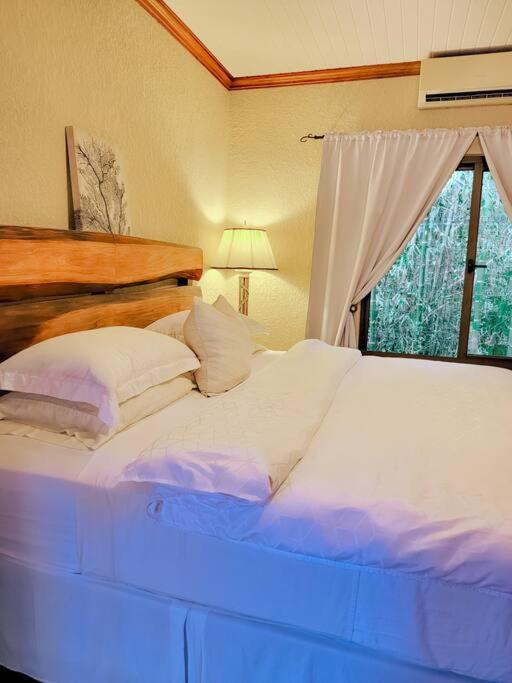 Vive Utila - Bed & Breakfast Eksteriør bilde