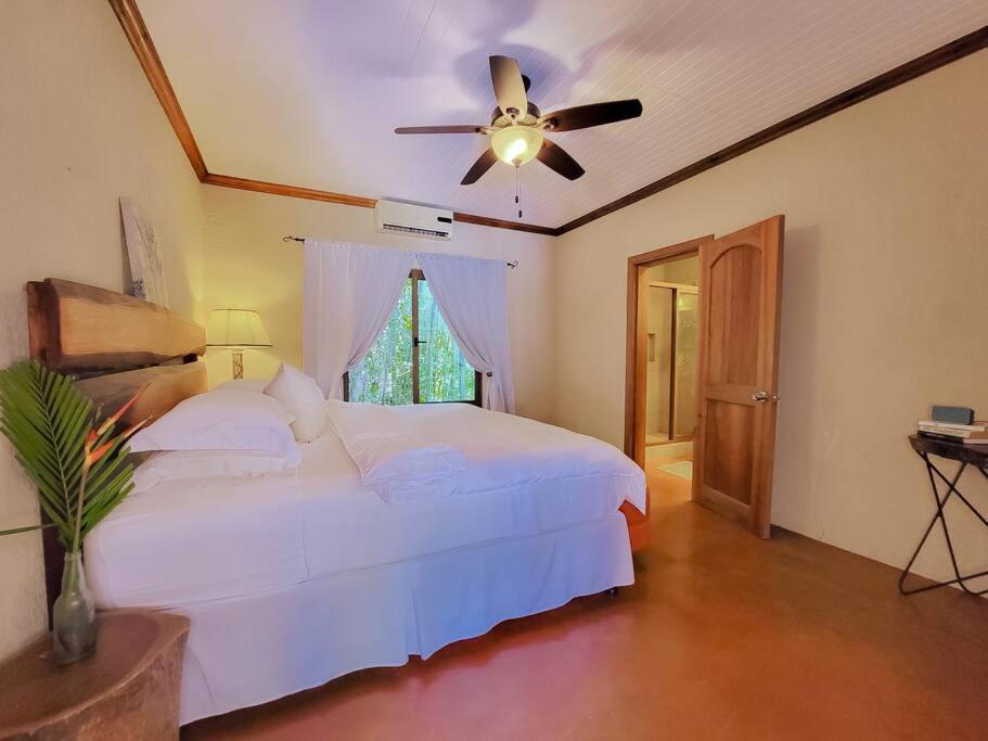 Vive Utila - Bed & Breakfast Eksteriør bilde