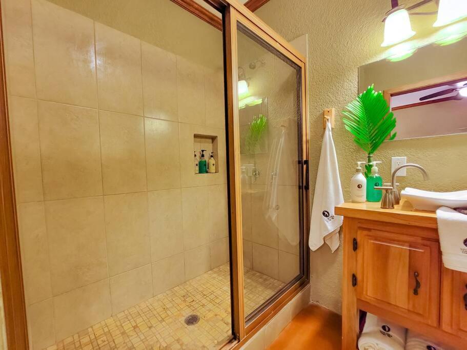 Vive Utila - Bed & Breakfast Eksteriør bilde