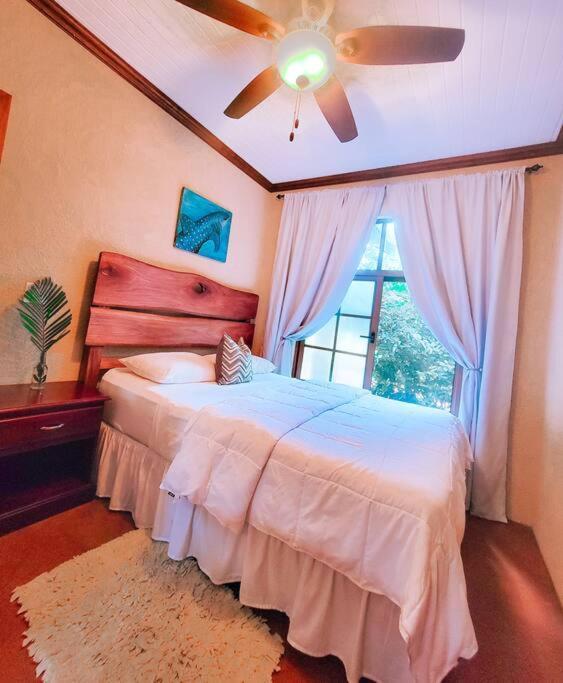 Vive Utila - Bed & Breakfast Eksteriør bilde