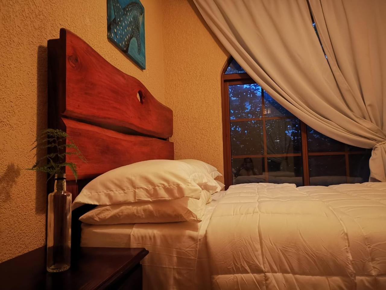 Vive Utila - Bed & Breakfast Rom bilde
